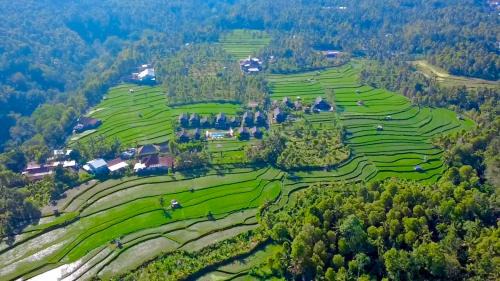 Bali Harmoni in Gobleg