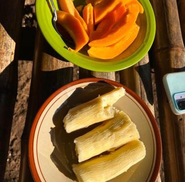 Sella Homestay Wainyapu Sumba