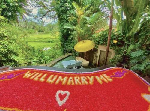 Luxury Treehouse, Stunning View, Great Location! in Ubud