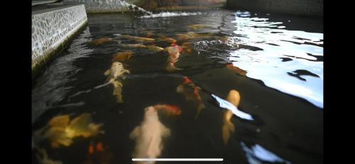 Vanili Homestay in Batu