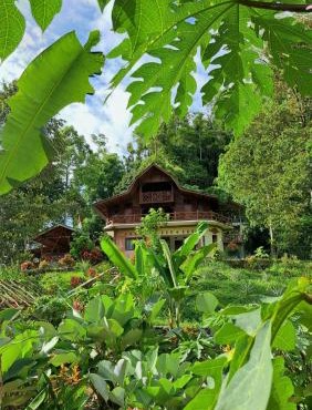 Bukit Lawang - Batu Kapal Rimba House