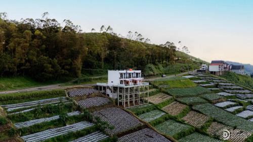Diamond Cabin 3 in Dieng