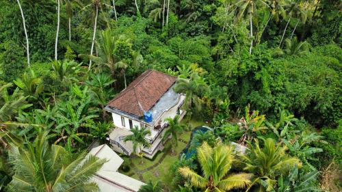 Junjungan Guest House New Brand in Ubud