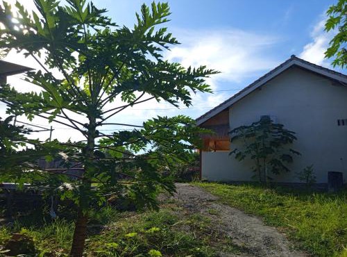 Ekas Elen Homestay