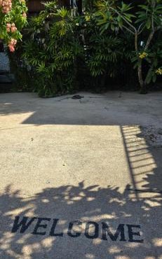 eco beach house bali in Penginuman