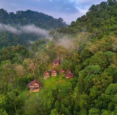 ORANGUTANTREKSUMATRA & LOVELY JUNGLE LODGE only book IF you are treking with us in Bukit Lawang