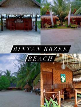 Bintan Brzee Beach in Bintan Island - Bungalow 2