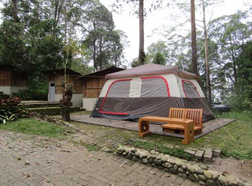 Lawu Forest Camp